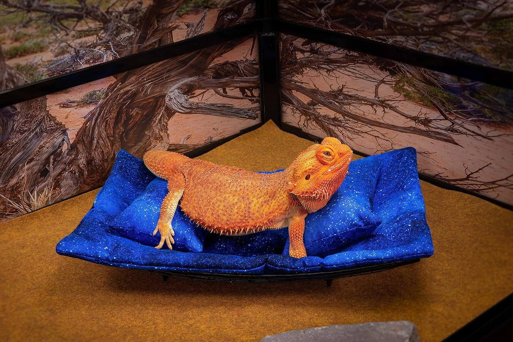 Chaise Lounge for Bearded Dragons, Starry Night Fabric