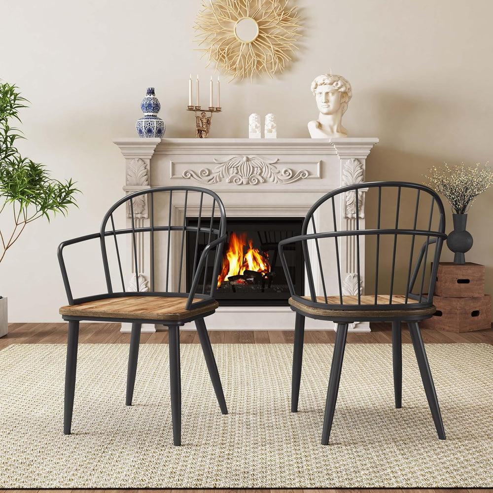 Christopher Knight Home Drats Dining Chairs Set of 2, Accent Dining Chair, Bi...
