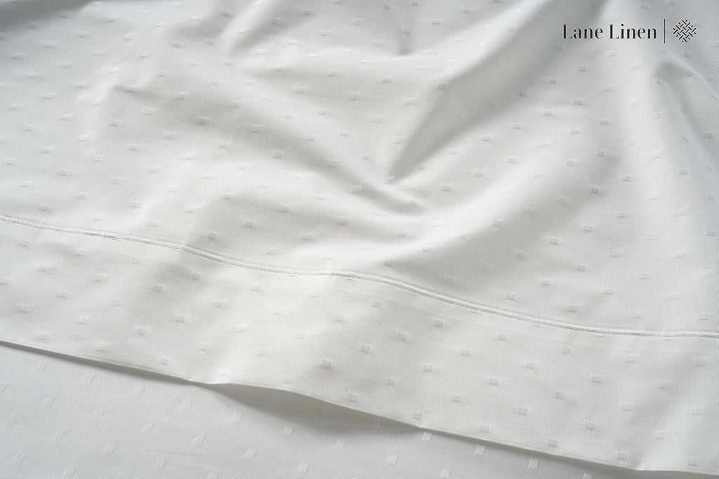 LANE LINEN Pillows Queen Size Set of 2, Soft 100% Egyptian Cotton, Cool & Smooth 1000 Thread Count Pillow Cases - Swiss Dot - White