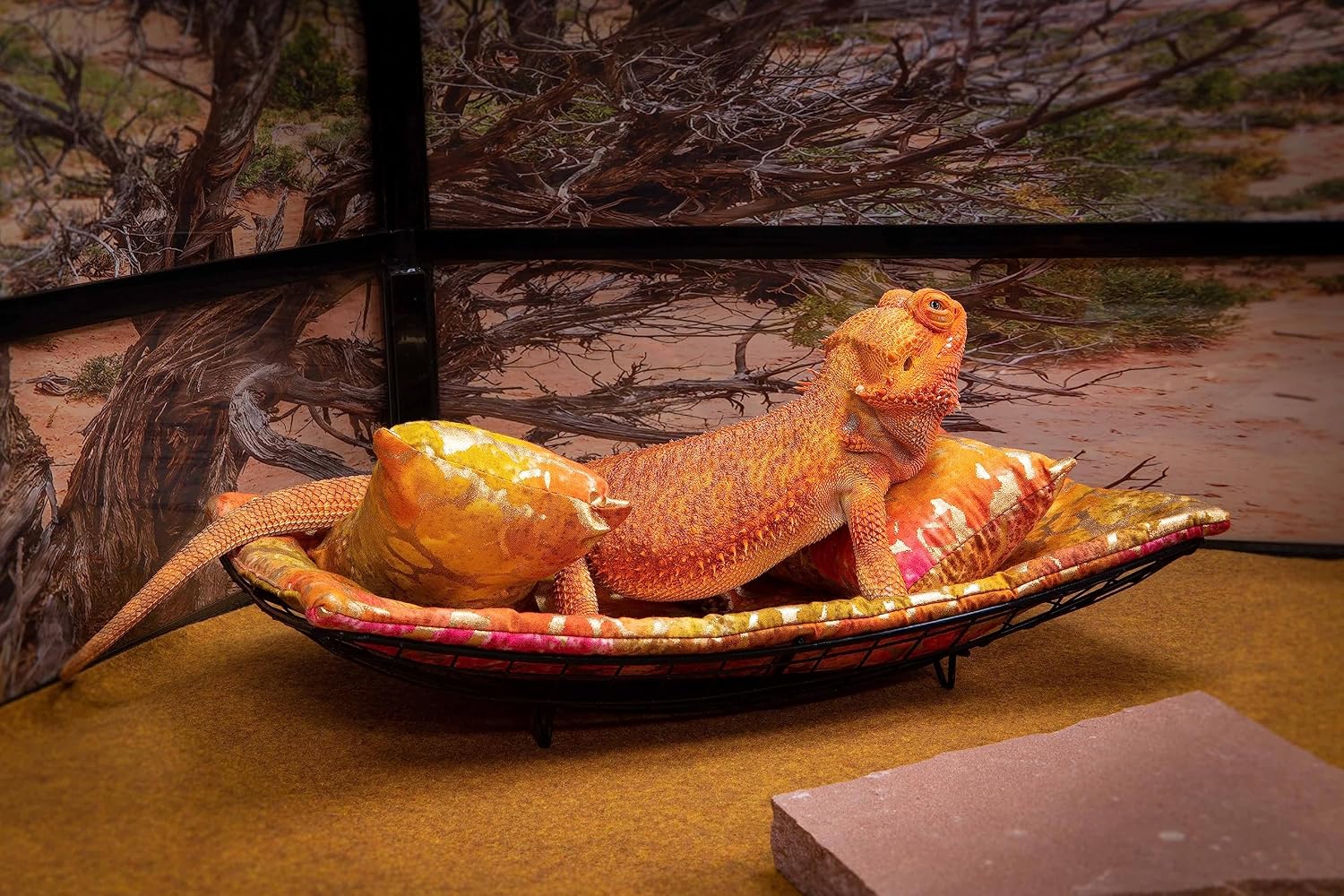 Chaise Lounge for Bearded Dragons, Tie Dye Golden Splash Fabric
