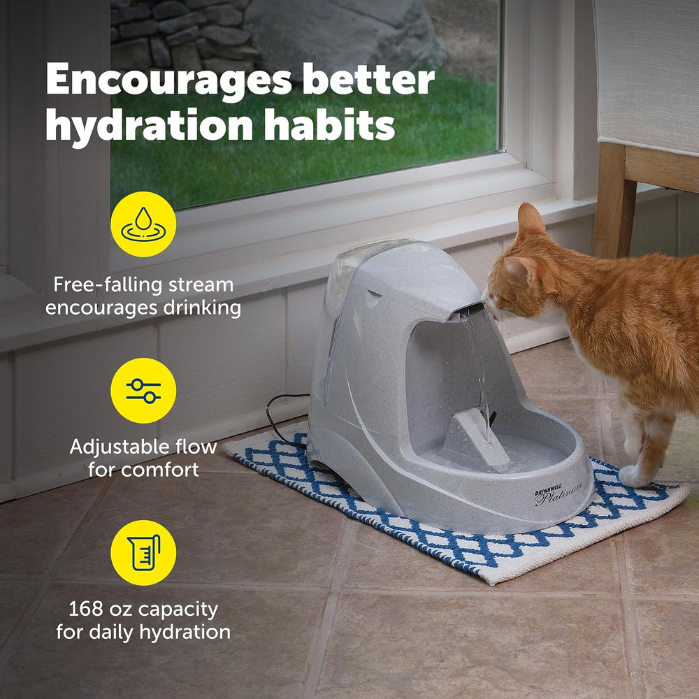 PetSafe Drinkwell Platinum Cat & Dog Water Fountain + 12 Carbon Filters