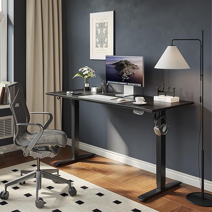 Agilestic Electric Standing Desk, 55 x 24 Inches Height Adjustable Desk, Sit ...