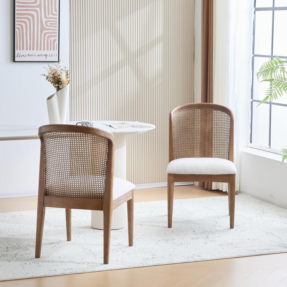 Christopher Knight Home Lilia Dining Chairs Set of 2, Modern Dining Chair wit...