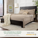 Queen Pillowcases by Pure Bamboo, Genuine 100% Organic Viscose Derived from Bamboo, Luxuriously Soft & Cooling, Double Stitching, Envelope Closure (2 Queen Pillowcases, Sand)