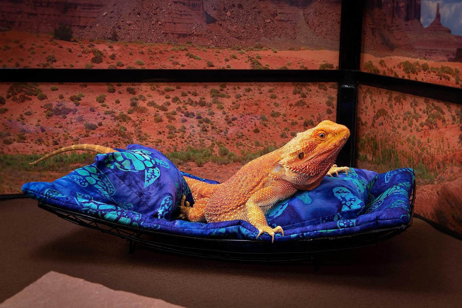 Chaise Lounge for Bearded Dragons, Sea Turtles Fabric