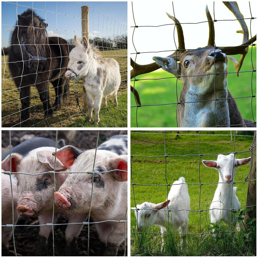 Cattle Fence 5ft x 164ft, Galvanized Farm Fence & Metal Wire Fencing