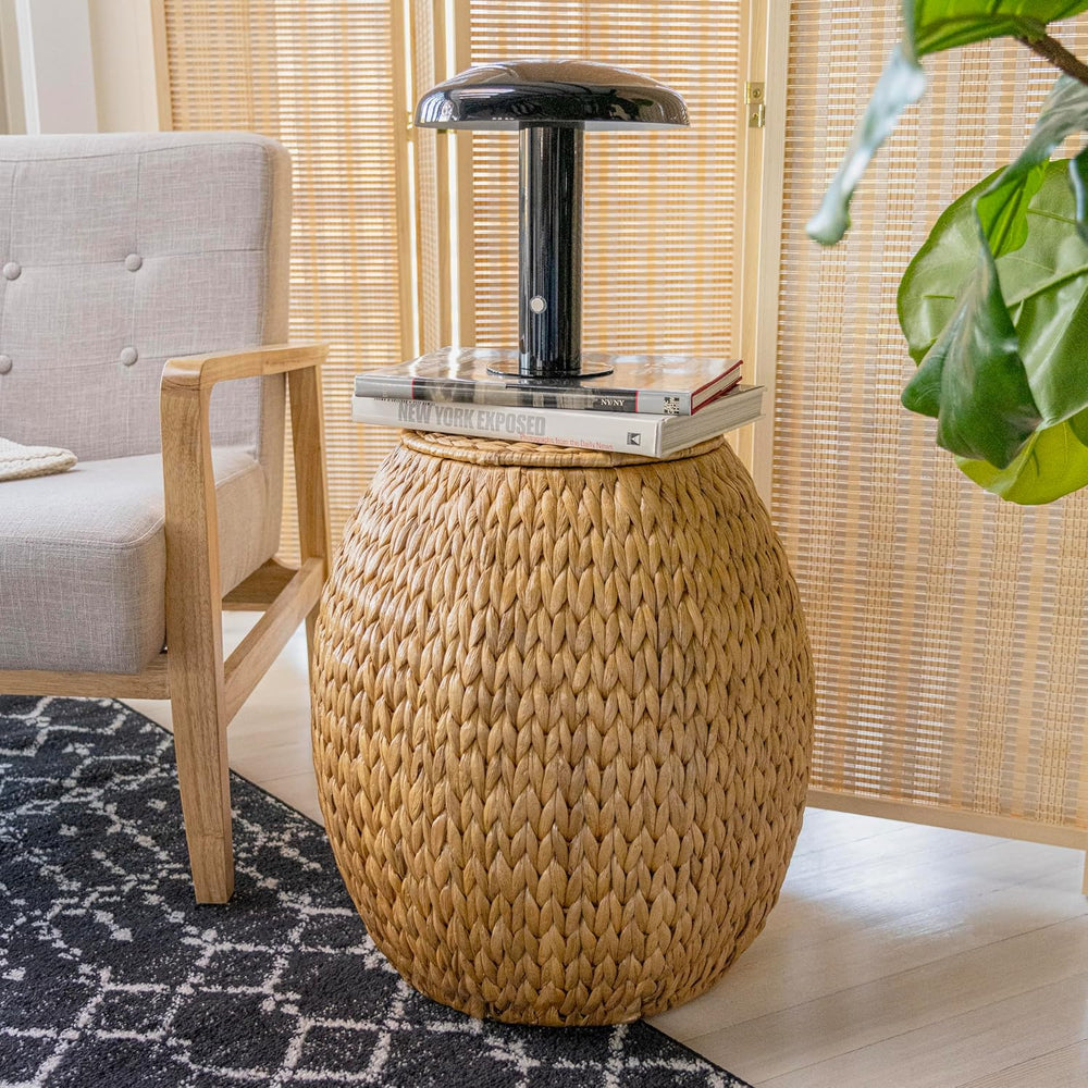happimess SSL1000A Colt 17" Coastal Bohemian Handwoven Hyacinth Storage ...