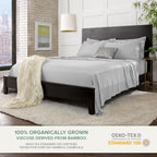 Queen Pillowcases by Pure Bamboo, Genuine 100% Organic Viscose Derived from Bamboo, Luxuriously Soft & Cooling, Double Stitching, Envelope Closure (2 Queen Pillowcases, Silver Pearl)
