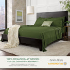 Queen Pillowcases by Pure Bamboo, Genuine 100% Organic Viscose Derived from Bamboo, Luxuriously Soft & Cooling, Double Stitching, Envelope Closure (2 Queen Pillowcases, Pesto)