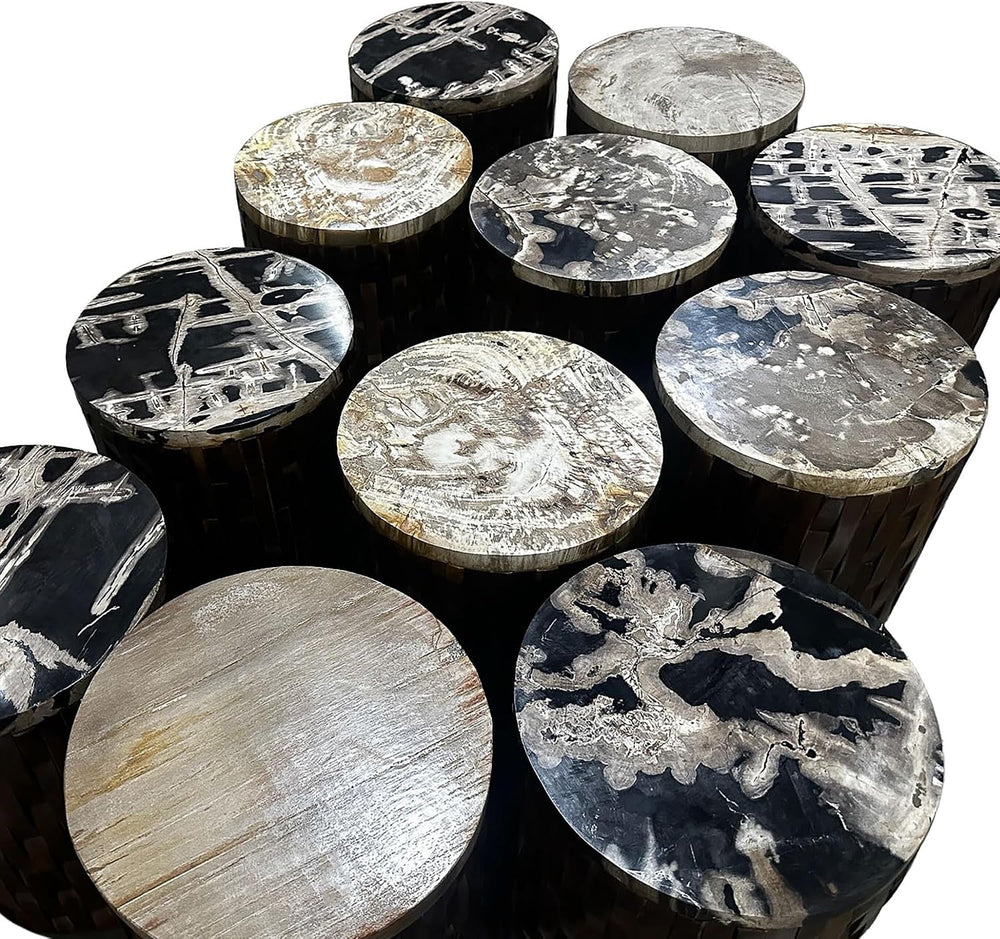 Bali & pari Lavanya End Table with Petrified Wood Top - Drum Accent Side ...