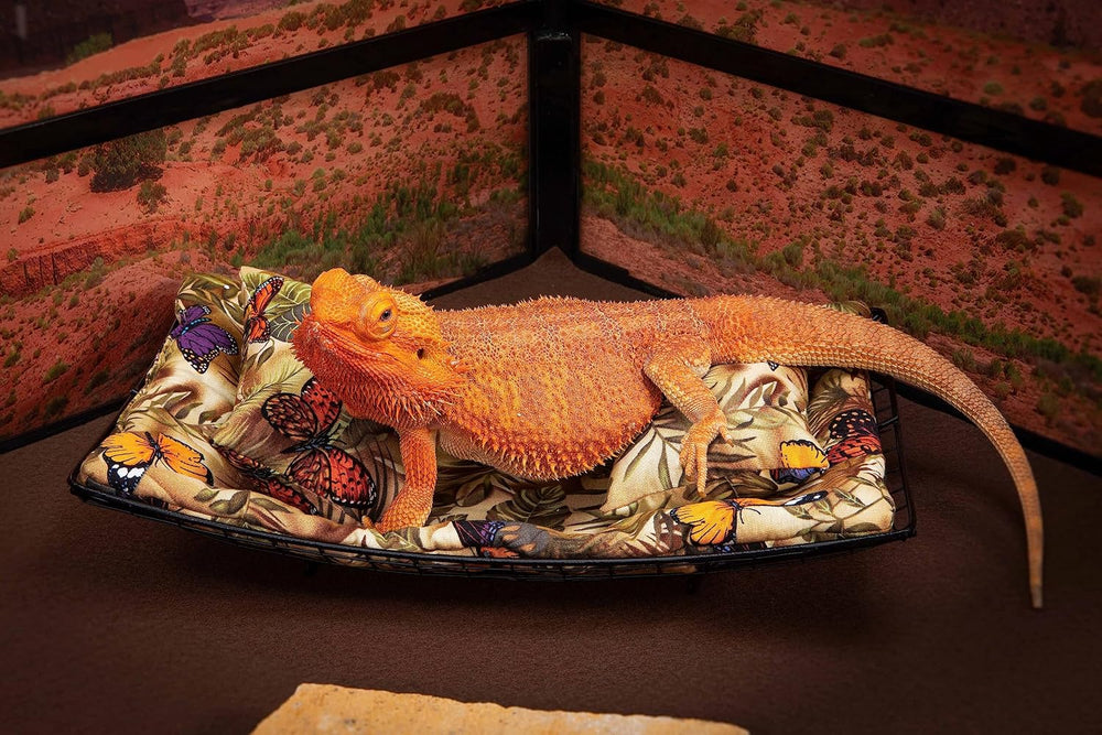 Chaise Lounge for Bearded Dragons, Butterflies and Leaves Fabric