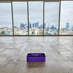 2 PACK Portable DIY 8 Dividers Durable Plastic Tote Tool & Supply Cleaning Caddy with Handle Made In USA (Royal Purple)