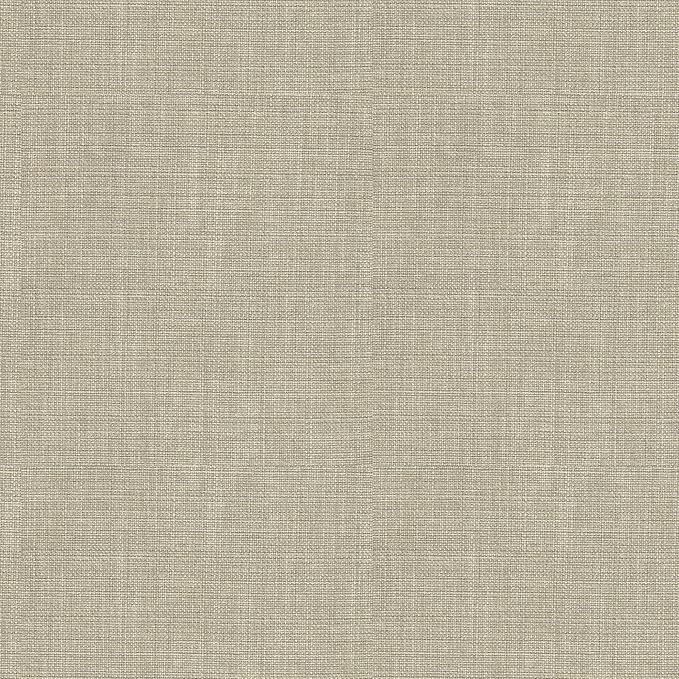 HomePop Michele Dining Chair with Nailhead Trim - Tan (Set of 2)