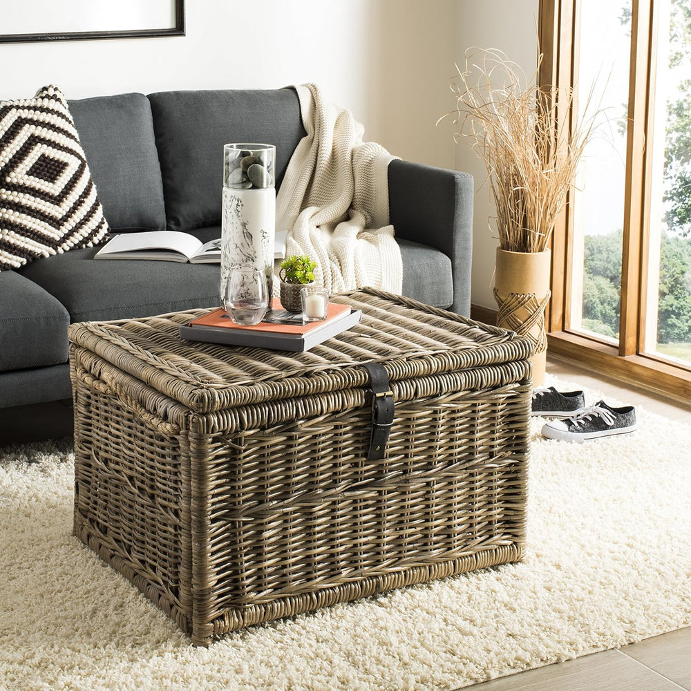 happimess Caden Collapsible Wicker Storage Trunk Chest 30", Natural | Ha...