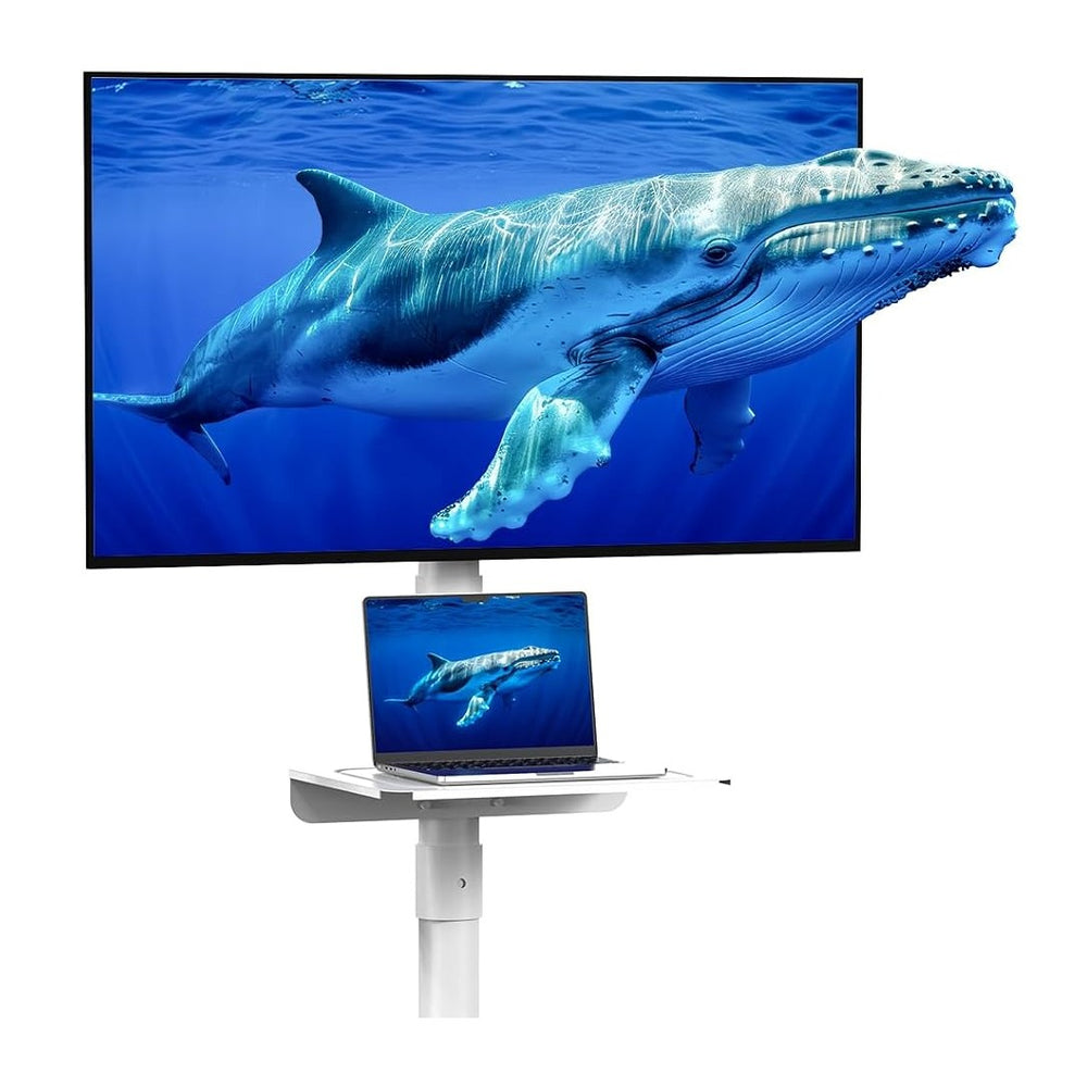 Rolling TV Stand for 23-60 Inch LCD LED Flat/Curved TVs/Screens | 2 Height Ad...